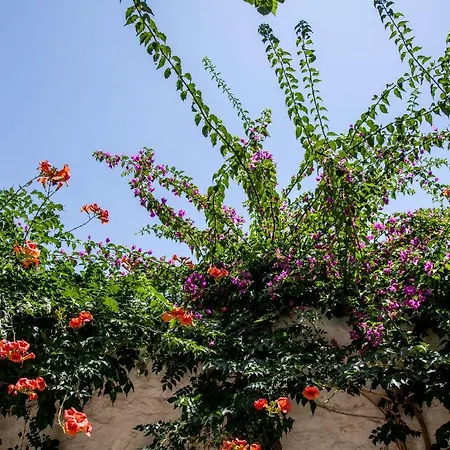 Orloff Boutique Hotel 4*